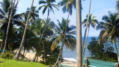 Пальмовый берег